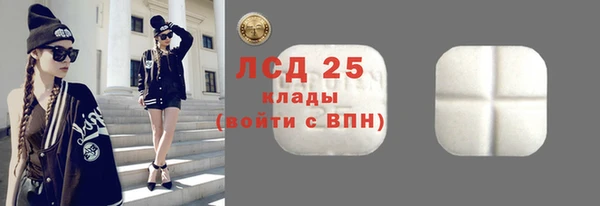 сатива Аркадак