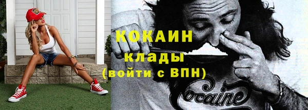 сатива Аркадак