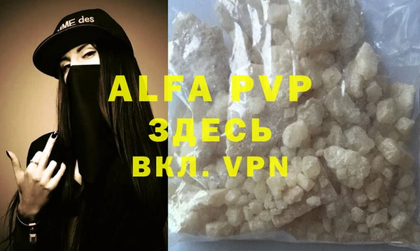 сатива Аркадак