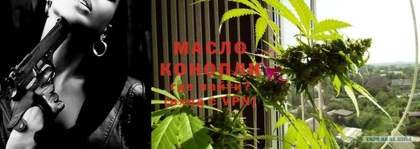 сатива Аркадак